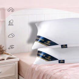 Little White Pillow